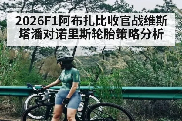 2026F1阿布扎比收官战维斯塔潘对诺里斯轮胎策略分析