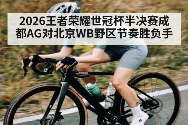 2026王者荣耀世冠杯半决赛成都AG对北京WB野区节奏胜负手