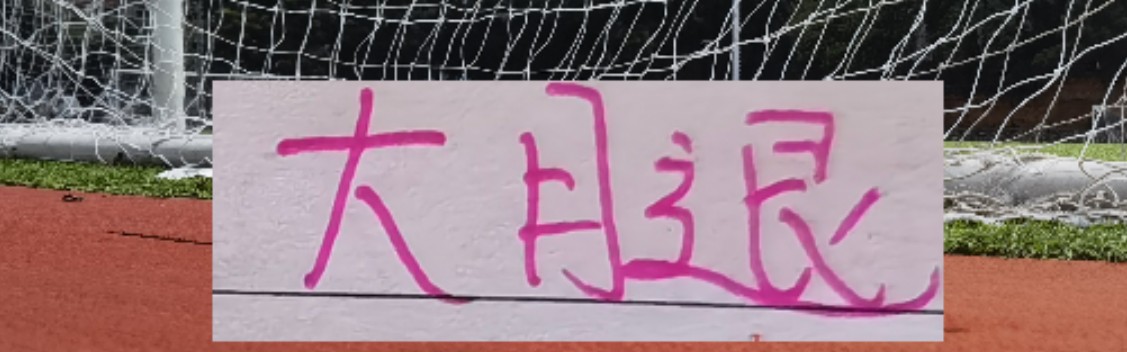 开云直播平台-海港也是少有一个赛季引进2个非洲外援 安佩姆会是丐版巴尔加斯吗