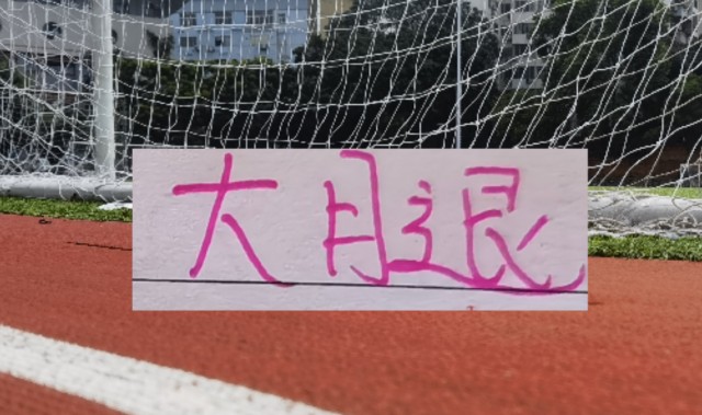 开云直播平台-海港也是少有一个赛季引进2个非洲外援 安佩姆会是丐版巴尔加斯吗