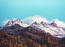 开云官方-非洲足球怪事多 阿森纳名将落难机场“睡大街”